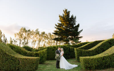 Amy & Daniel | January 2018 – Belair