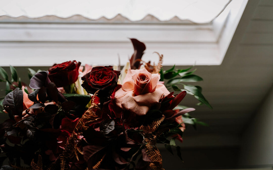 Sarah & Jacques | November 2018